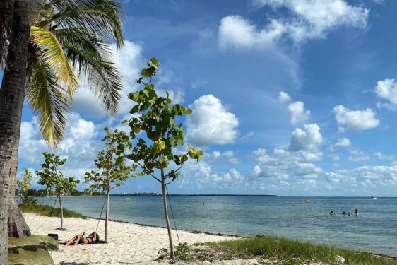 Miami stand up paddle lesson location