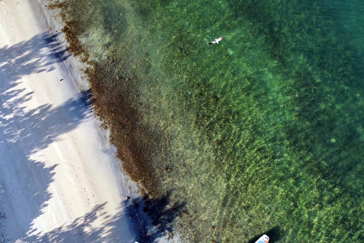 Miami stand up paddle lesson location