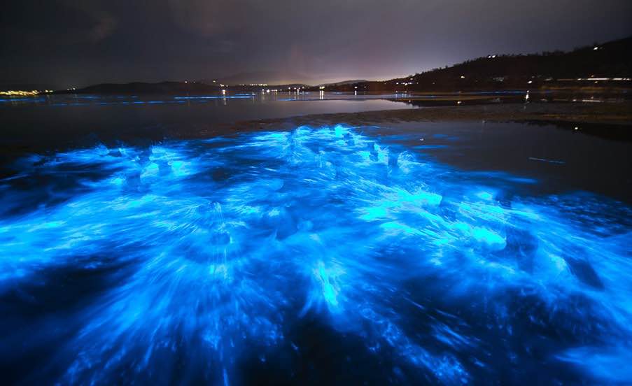 SoBe Surf Paddle Bioluminescence Tour Paddle board Kayak Florida Cocoa Beach Merritt Island standup paddle board kayak Tours Bioluminescence Tours paddle board bioluminescence tours standup paddle board kayak tours