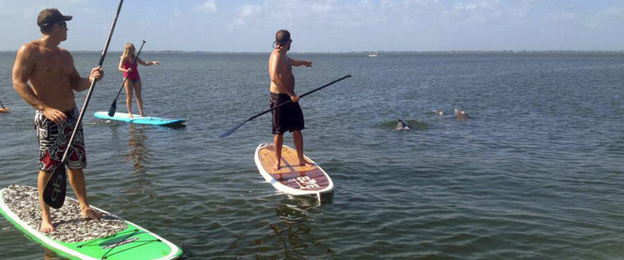 Manatee and dolphin tours near Cocoa Beach, FL Cocoa Beach bioluminescent eco tour