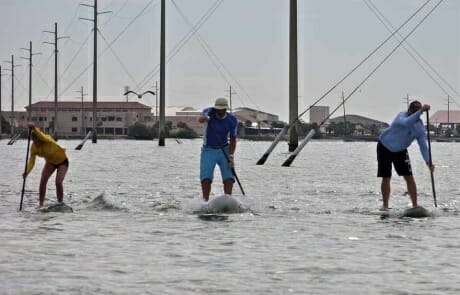 Clinic Candice Appleby
