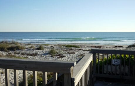 Clinic Candice Appleby