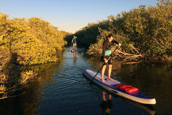 Ulumay Nature Sanctuary stand up paddle tour in Cocoa Beach, FL