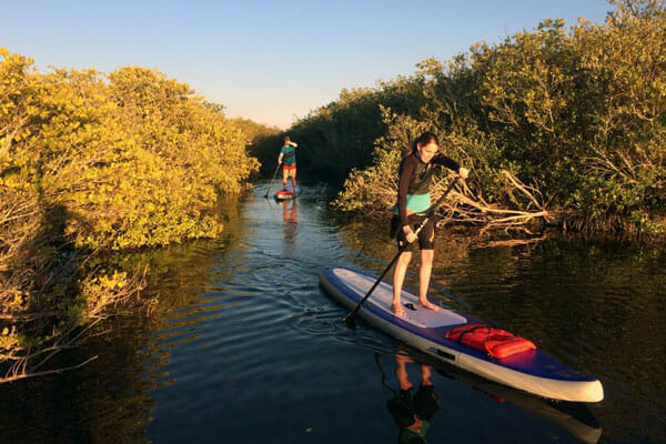 Ulumay Wildlife Sancutary Tour Ulumay Nature Sanctuary stand up paddle tour in Cocoa Beach, FL