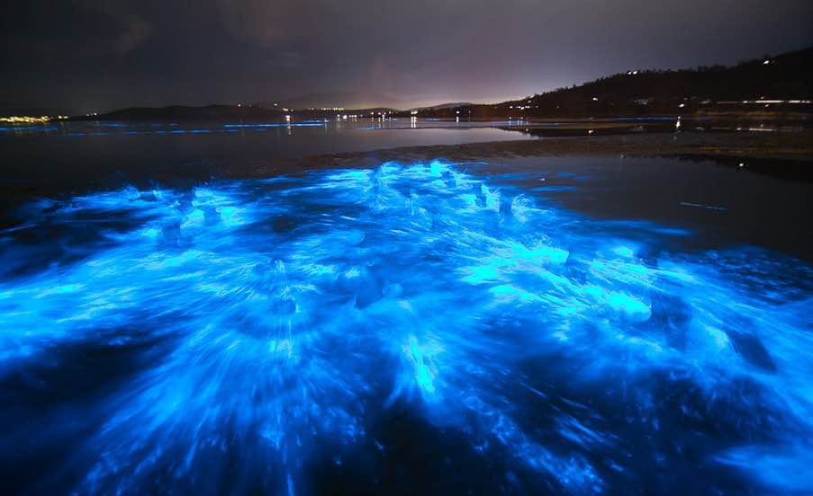 Bioluminescent kayak tour near Cocoa Beach