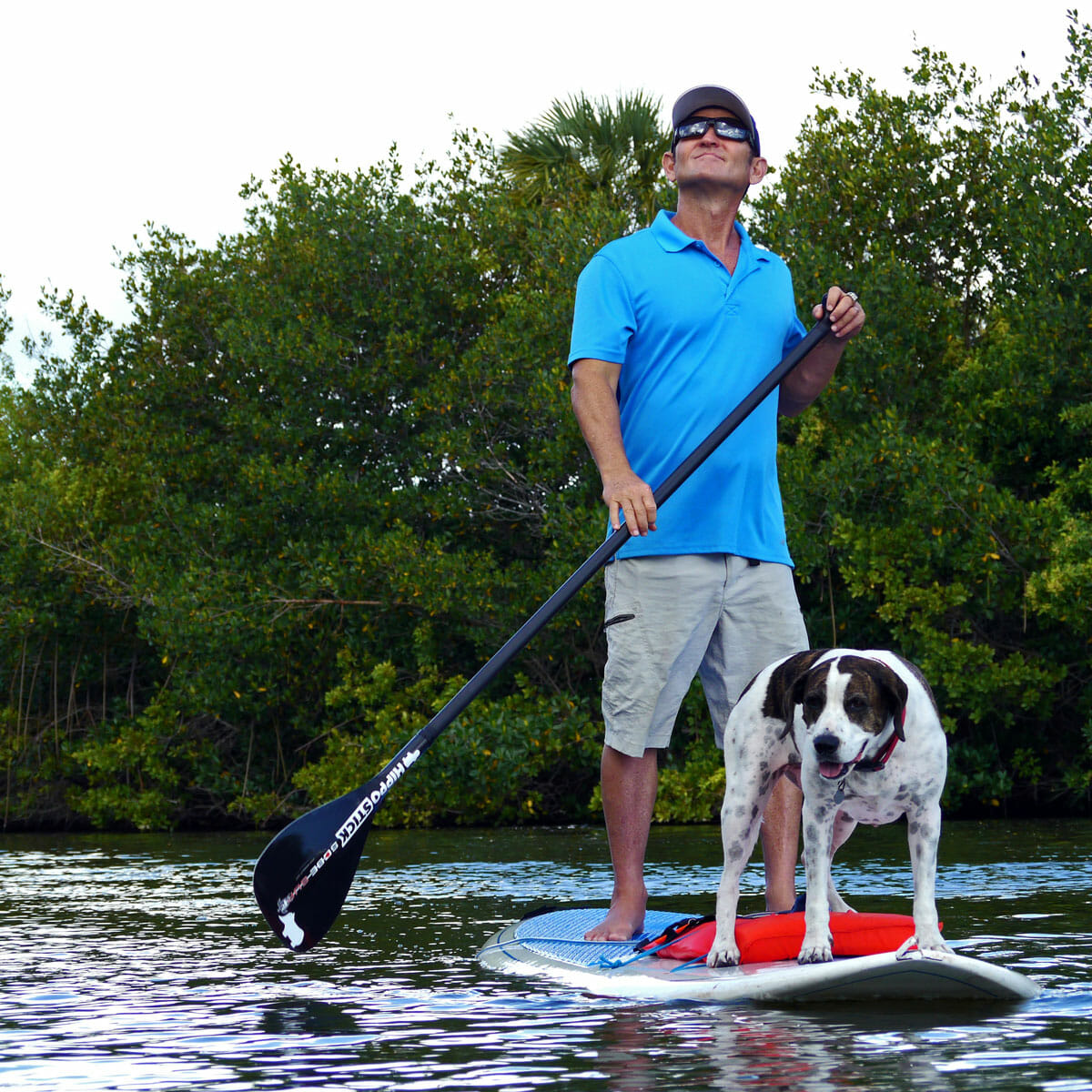 Stand Up Paddle With Manatees - Girard Middleton and Kona Dog