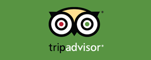 SoBe Surf reviews and photos on TripAdvisor