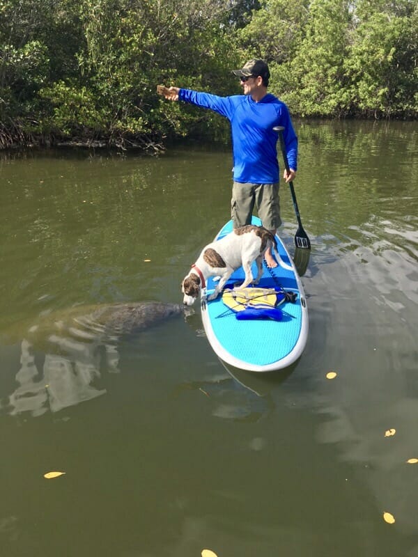 GIRARD MIDDLETON AND DOG KONA KISSING MANATEE ON SOBE SURF AND PADDLE NATURE TOUR FLORIDA