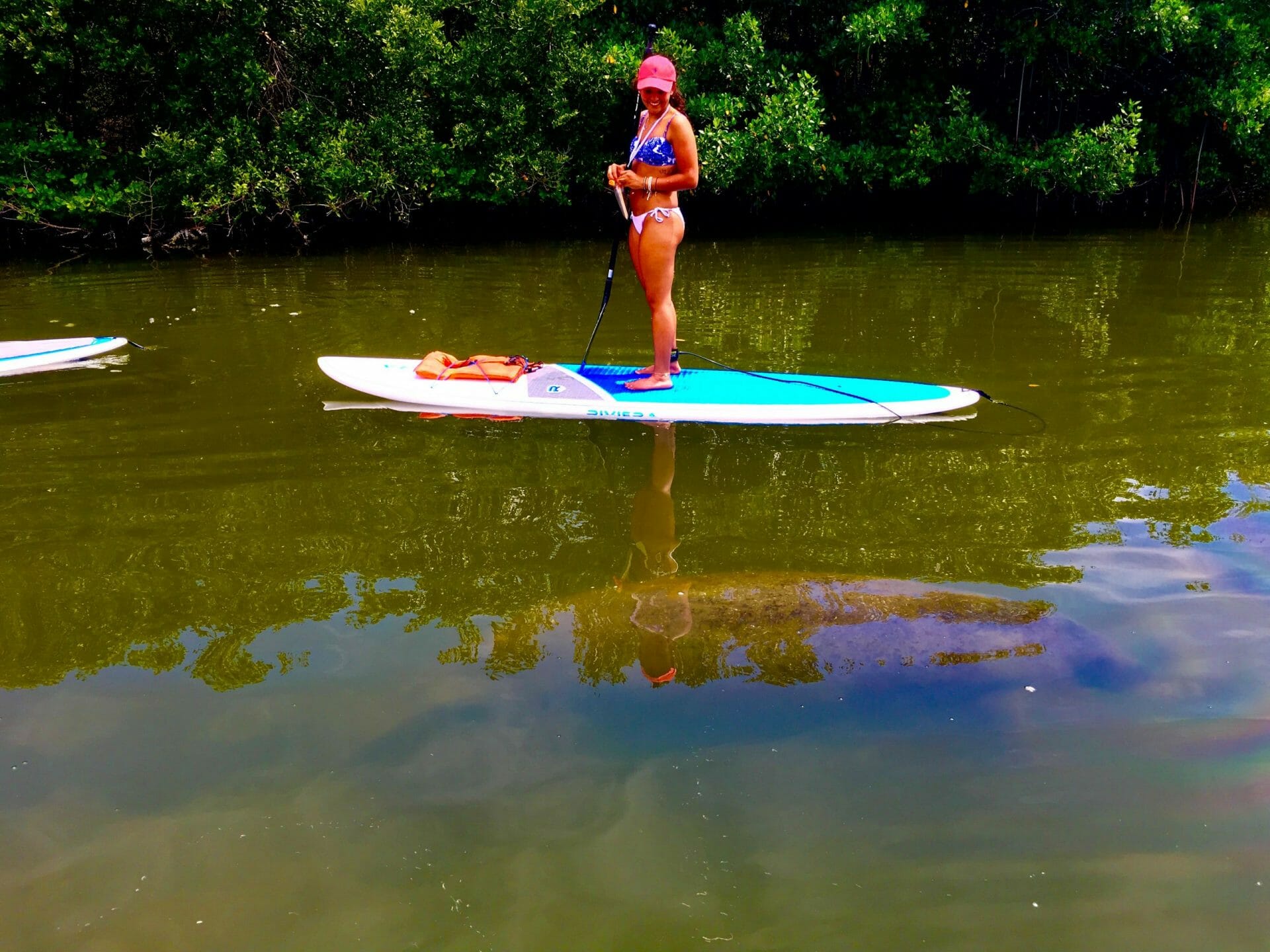 SOBE SURF MANATEE TOUR GIRL LOOKING AT MANATEE COCOA BEACH SOBE SURF MANATEE TOUR COCOA BEACH MERRITT ISLAND FLORIDA