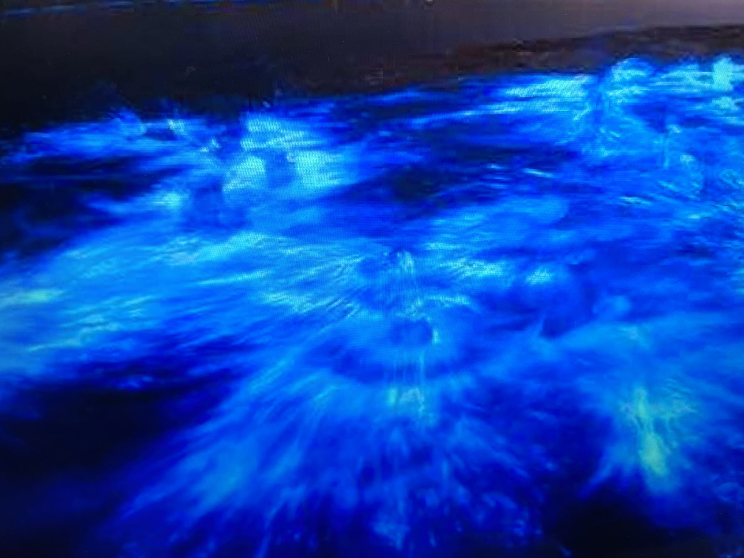Cocoa Beach bioluminescence eco tour