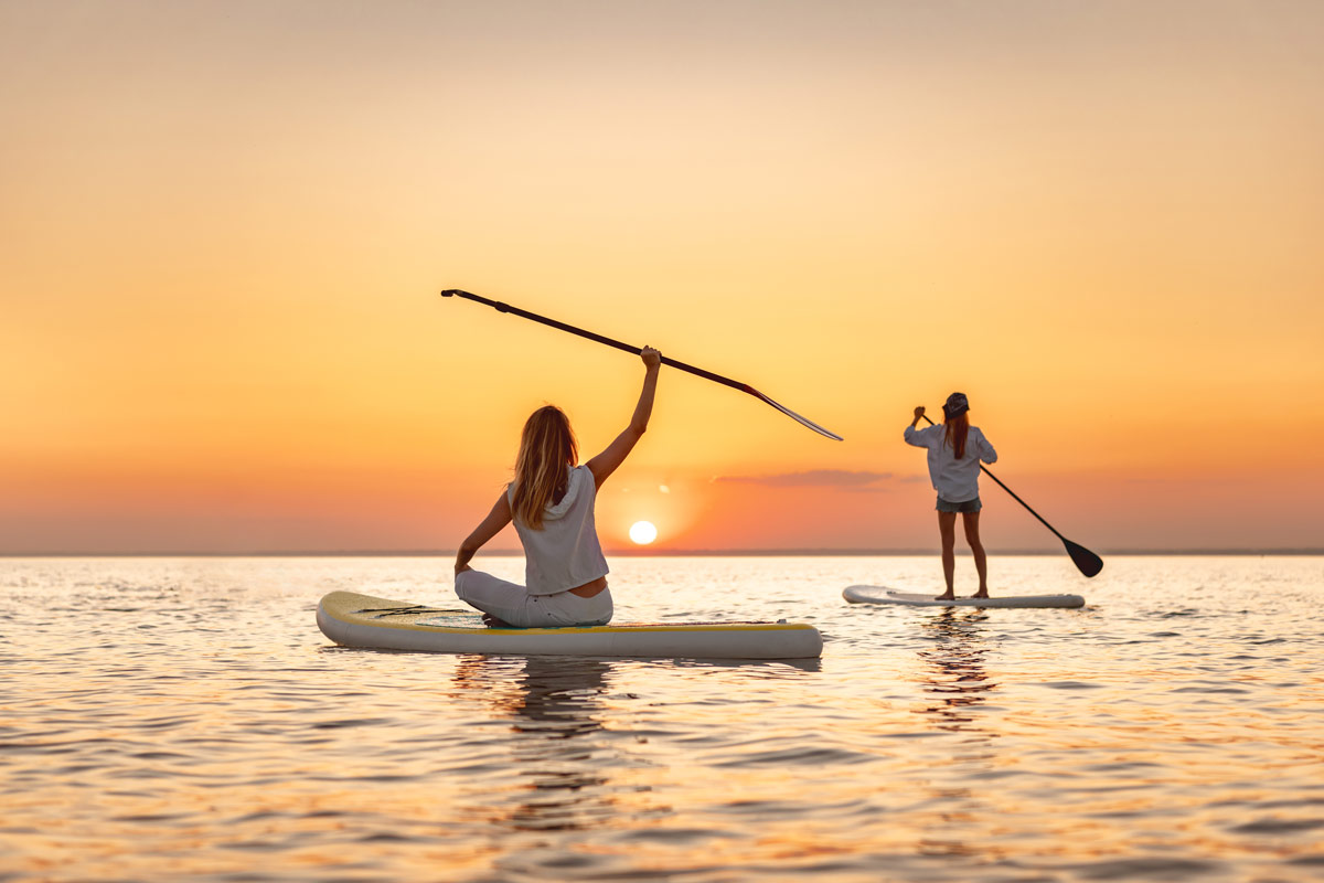sunset paddle board dolphin tour